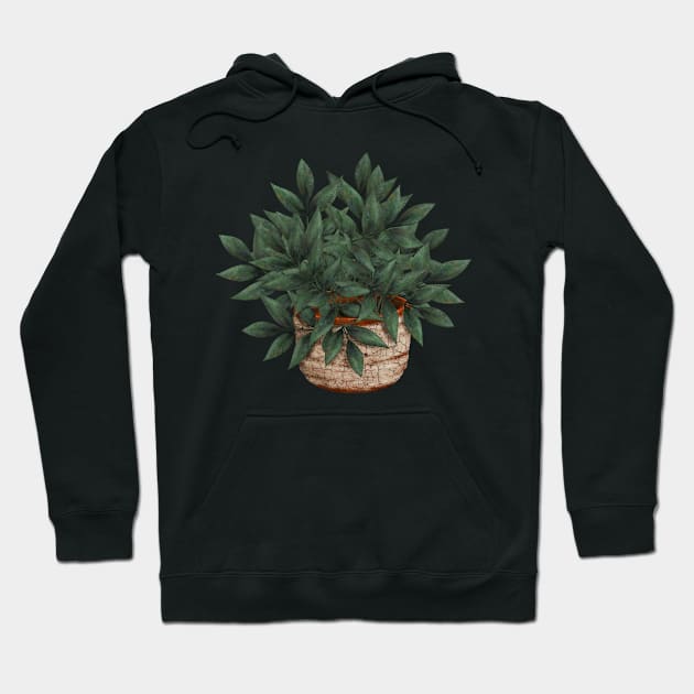 House Plant in Pottery | Cherie's Art(c)2021 Hoodie by CheriesArt